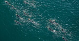 Nageurs en eau libre alignés dans le sillage les uns des autres